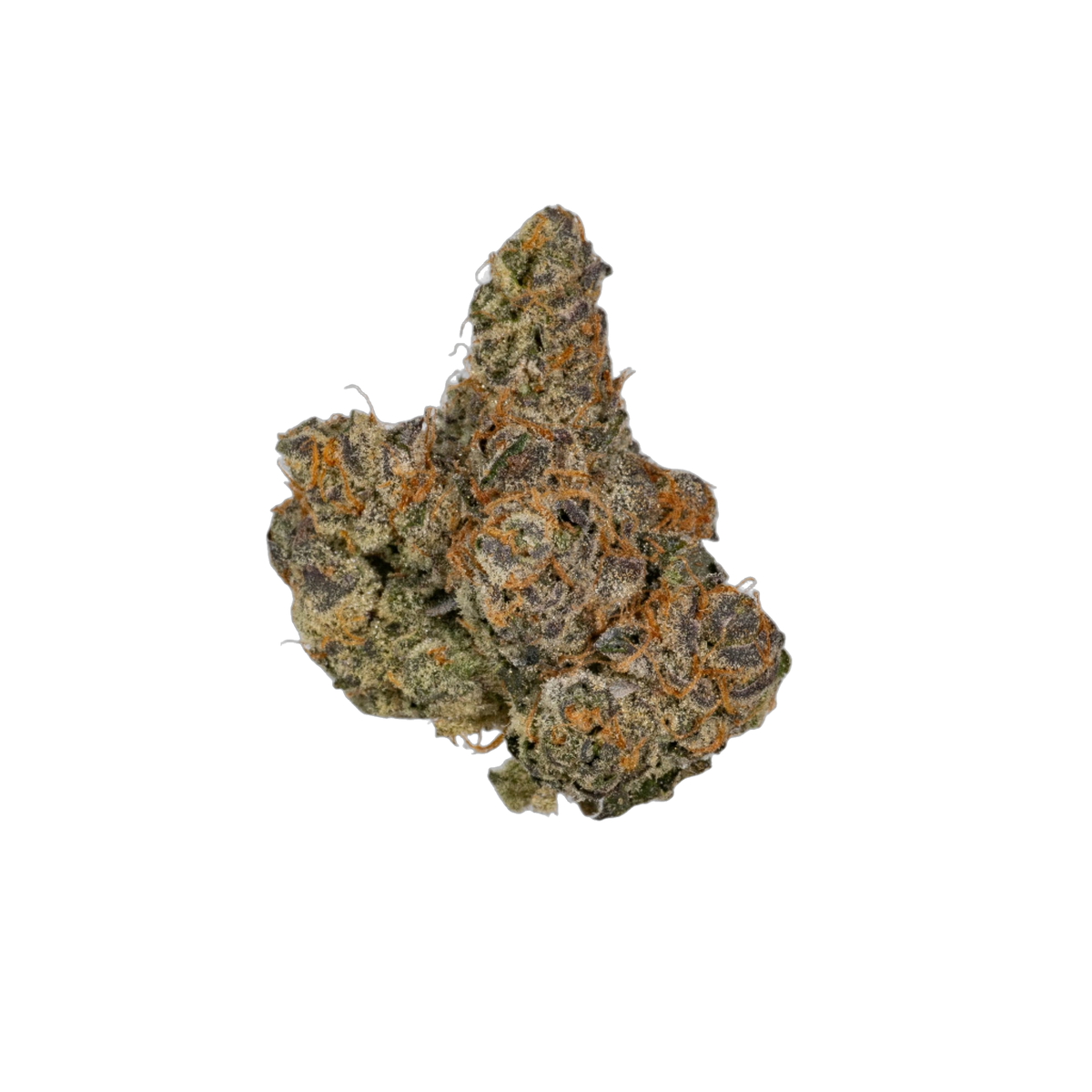 Money Bags cannabis flower bud