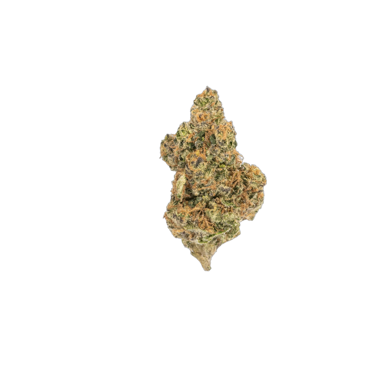 Nag Champ cannabis flower bud