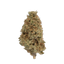 Neville's Haze cannabis flower bud