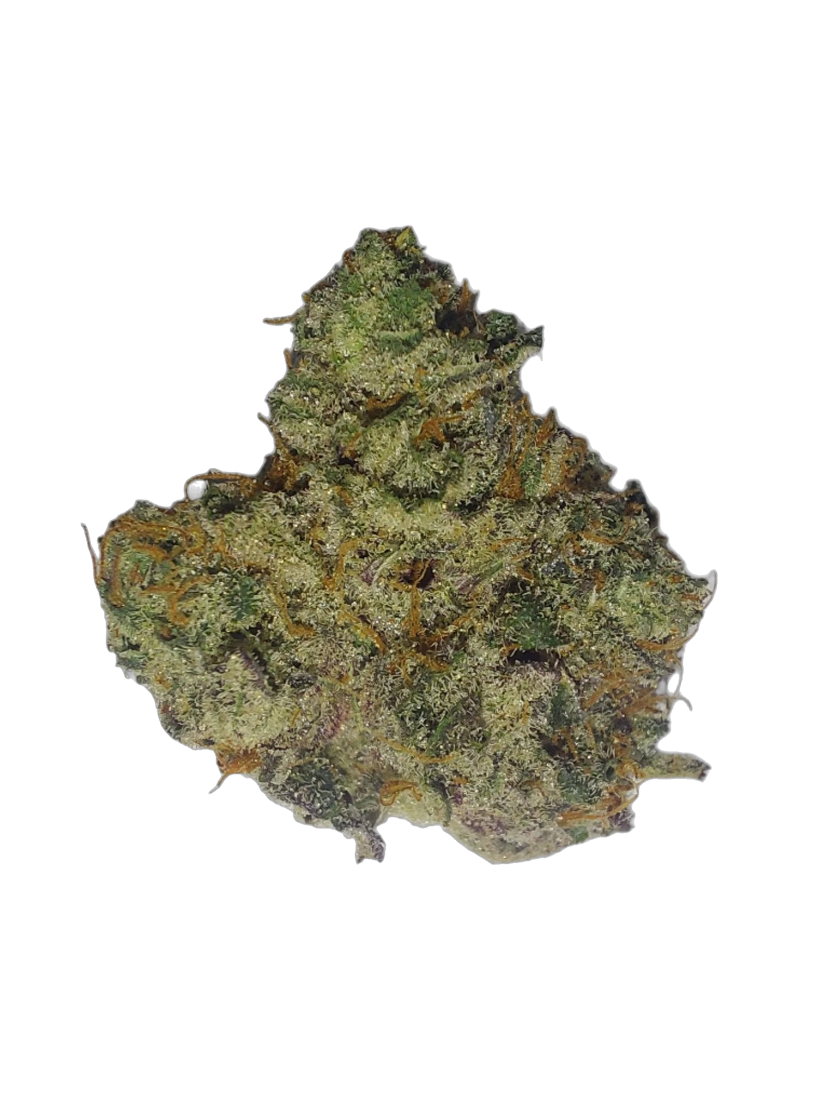 Nola Monsoon cannabis flower bud