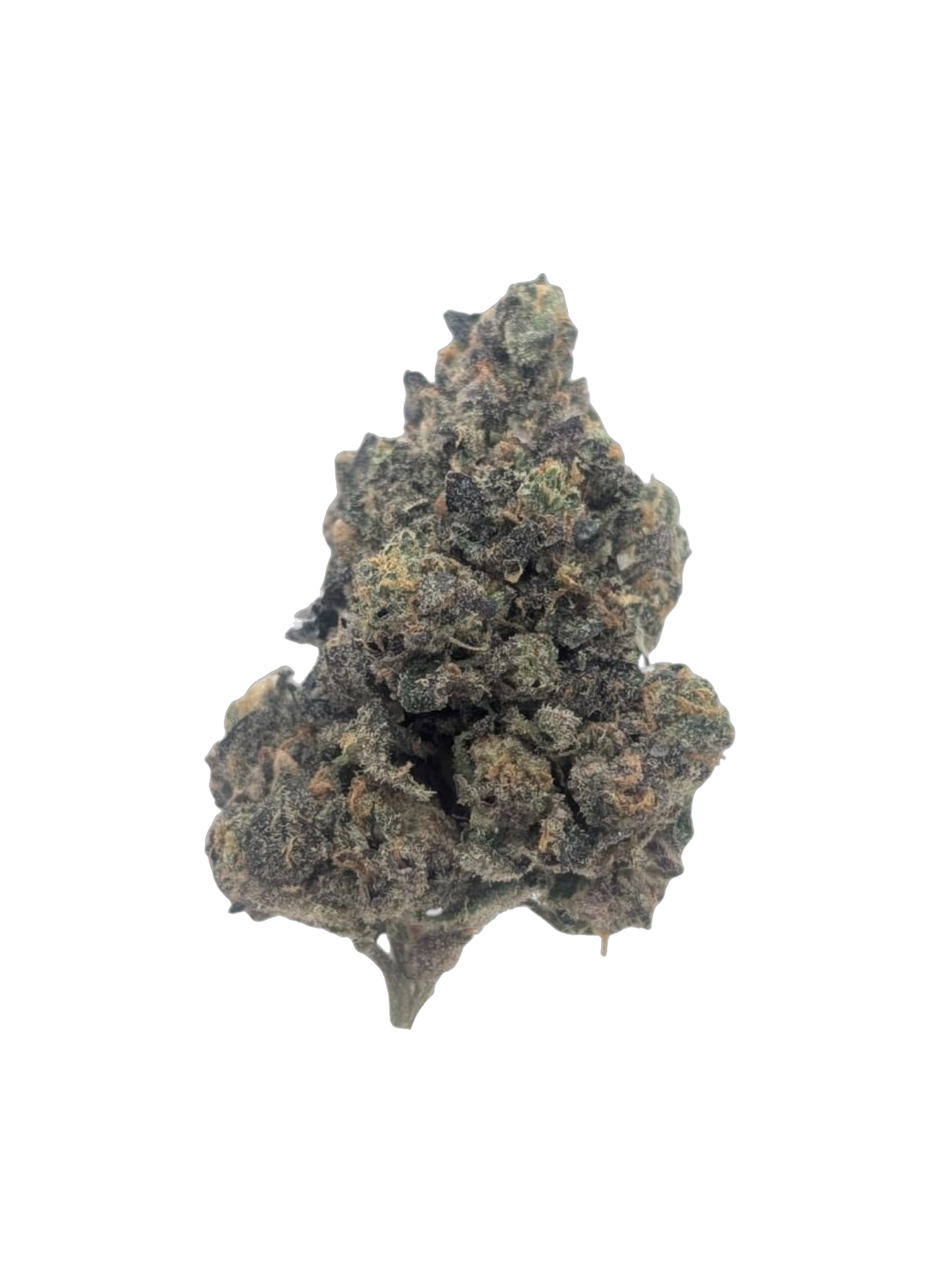 Northern Haze cannabis flower bud