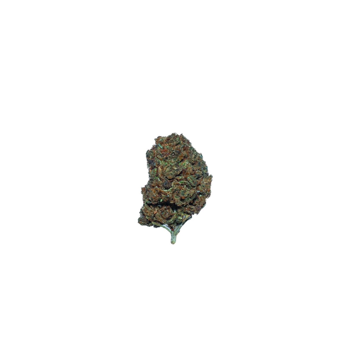 Nostalgic Intoxication - CBD cannabis flower bud
