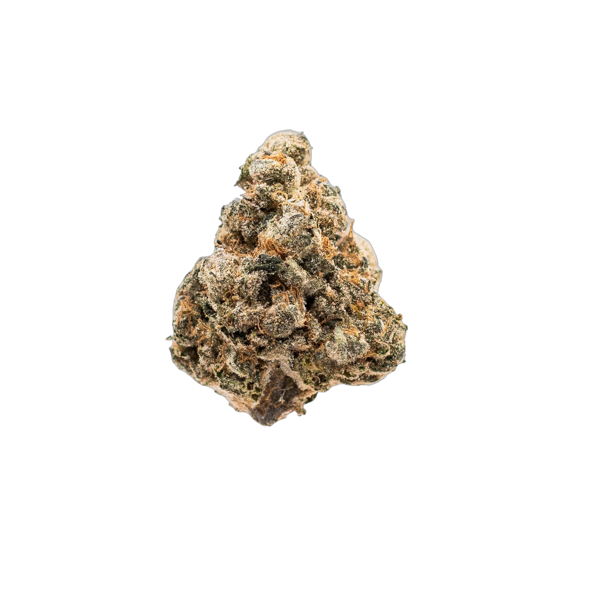 Obsession cannabis flower bud