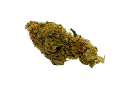 OG Skunk cannabis flower bud