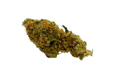 OG Skunk cannabis flower bud