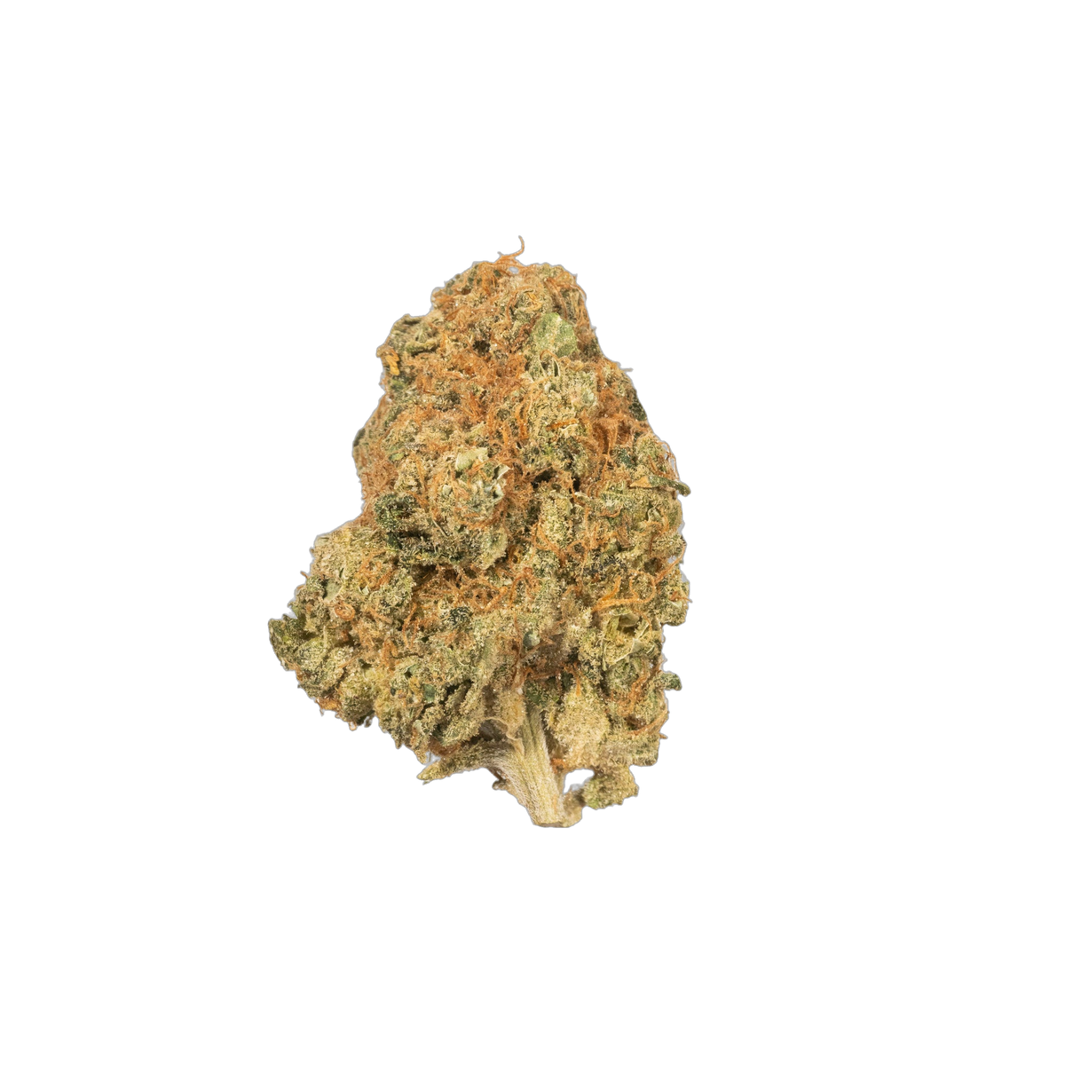 Orange Cake cannabis flower bud