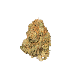 Orange Cake cannabis flower bud