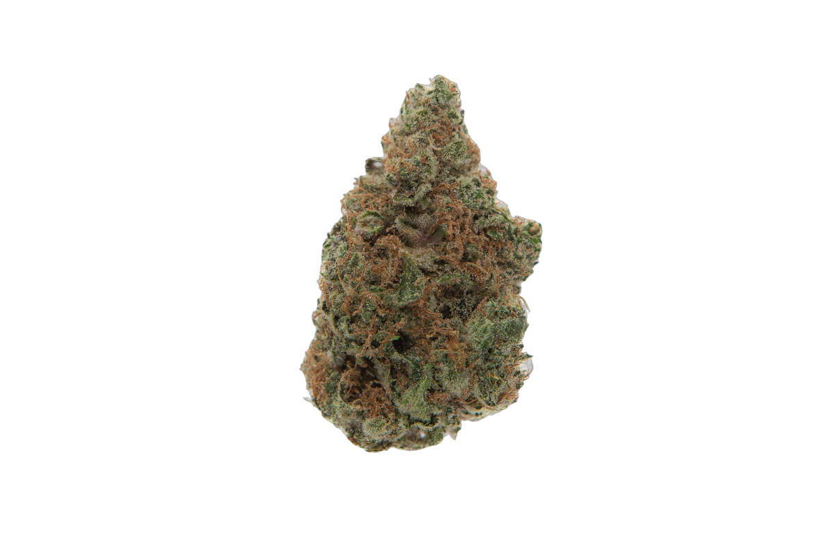 Orange Juice cannabis flower bud
