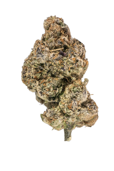 Orange Marmalade cannabis flower bud