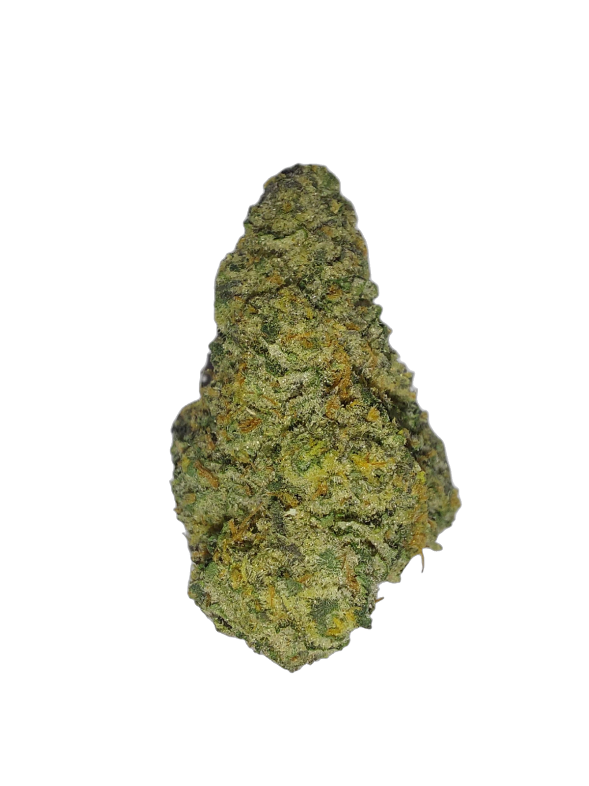 Orange Push Pop cannabis flower bud