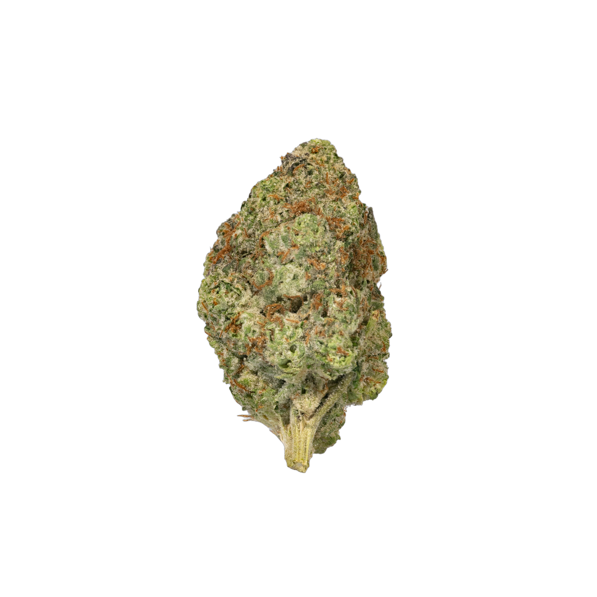 Pancake McFlurry cannabis flower bud