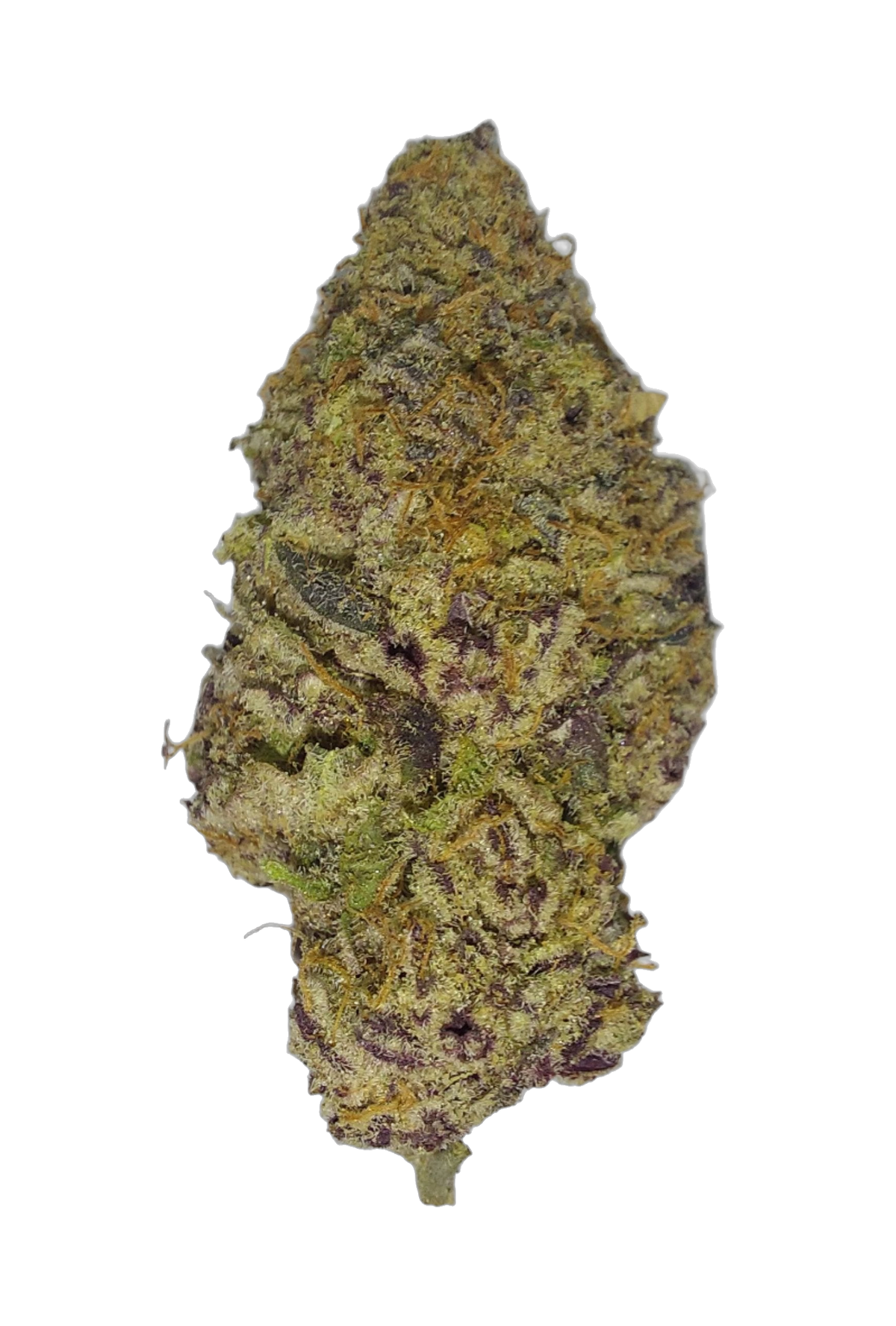 Papaya Cake cannabis flower bud