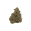 Papaya Fire