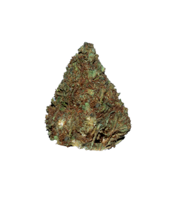 Peanut Butter Breath (Organic Living Soil) cannabis flower bud
