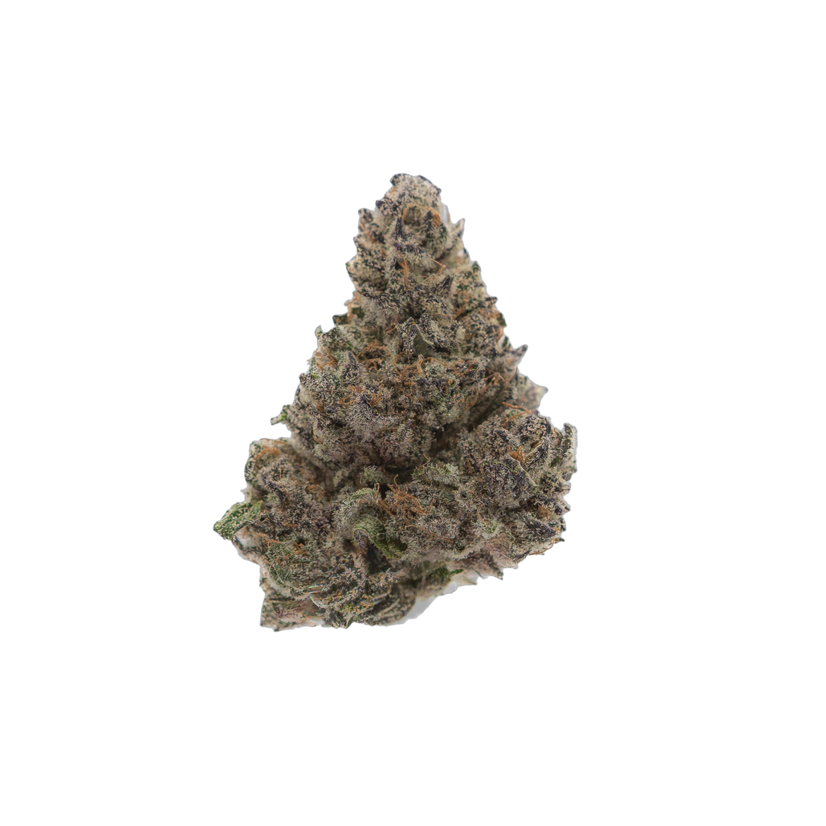 Pearly Sherbet cannabis flower bud