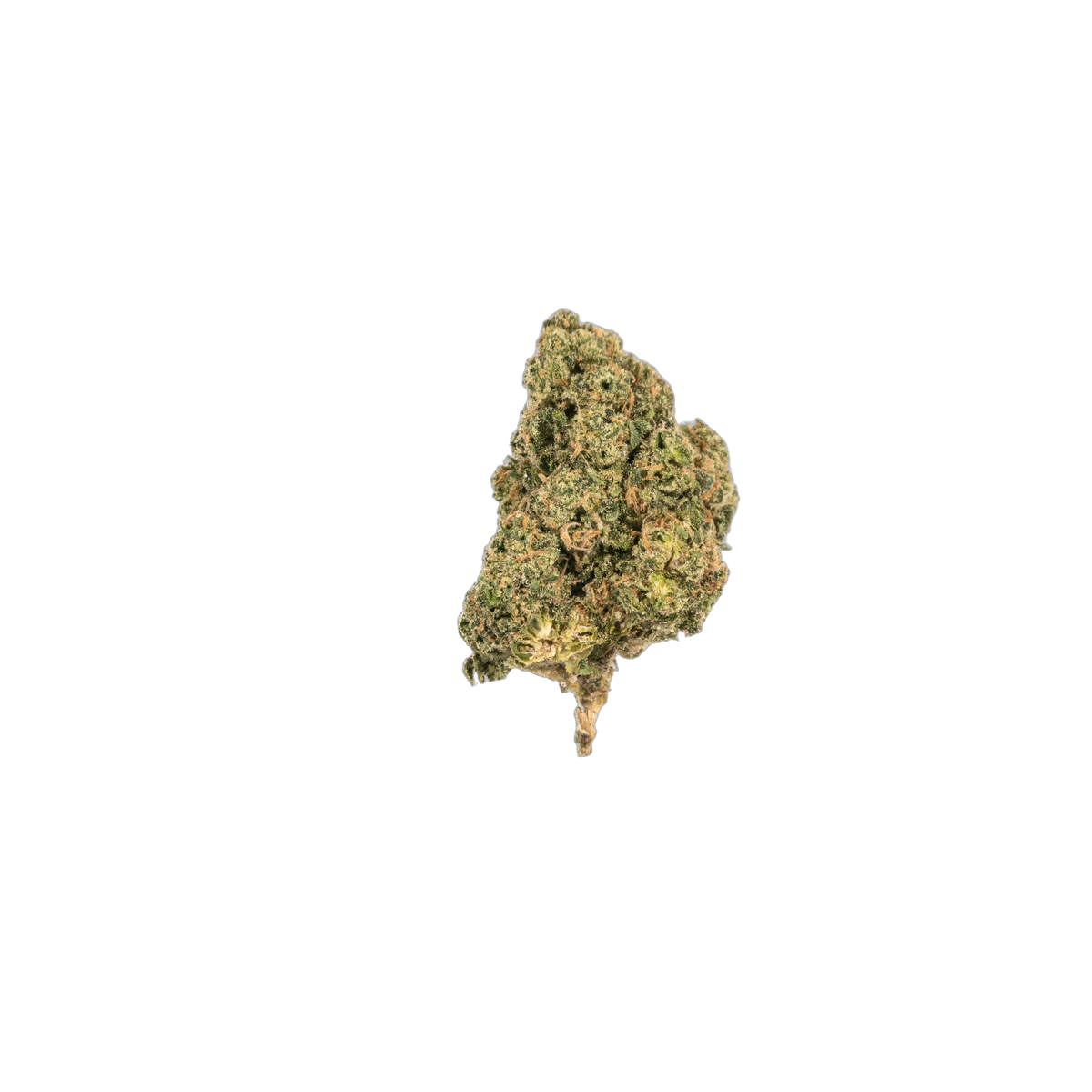 Permanent Marker cannabis flower bud