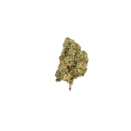 Permanent Marker cannabis flower bud