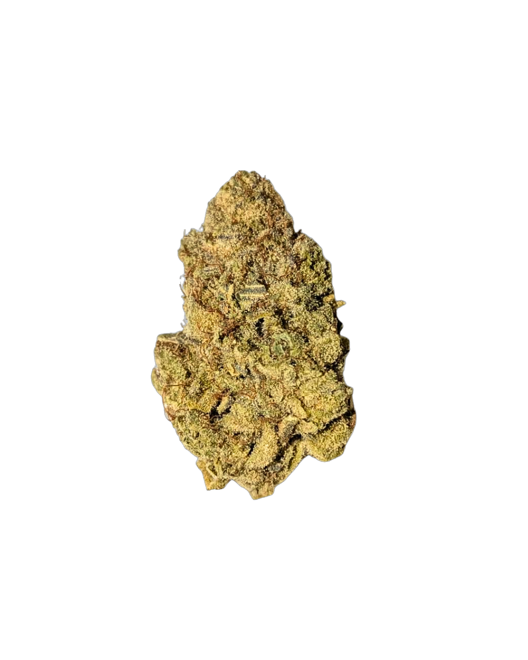 Persian Pie cannabis flower bud