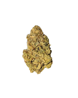 Persian Pie cannabis flower bud