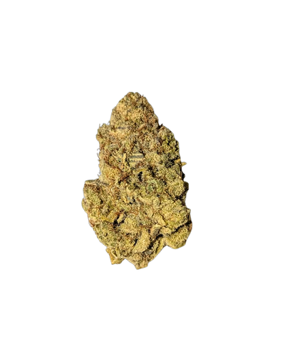 Persian Pie cannabis flower bud