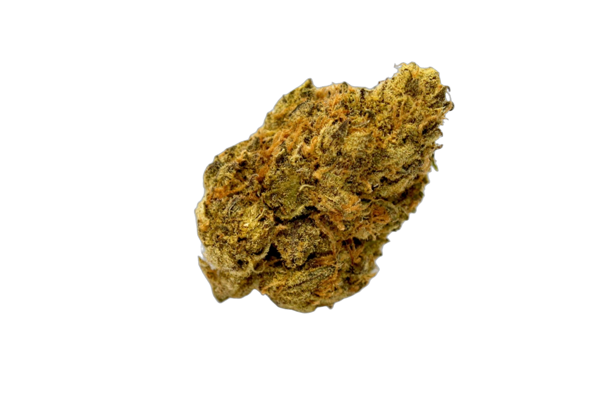 Peyote Cookies cannabis flower bud