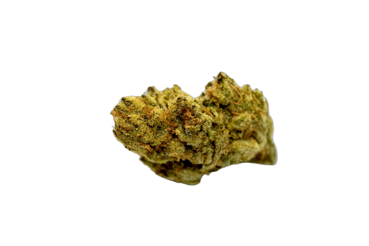 Peyote Critical cannabis flower bud