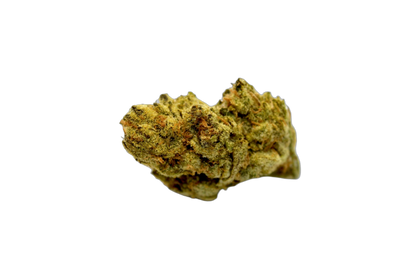 Peyote Critical cannabis flower bud