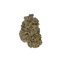 Philadelphia Cream cannabis flower bud