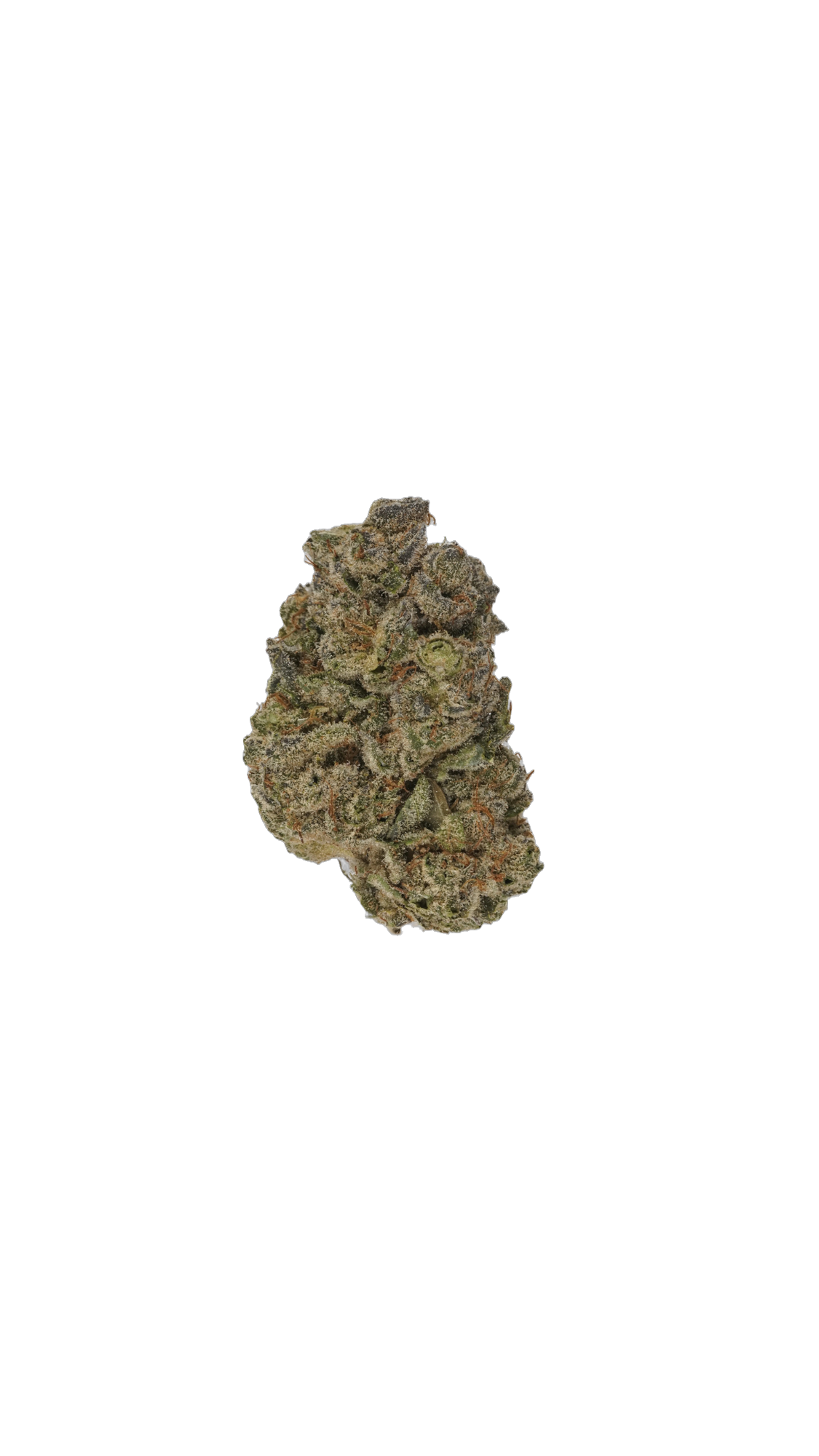 Philadelphia Cream cannabis flower bud