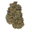 Philadelphia Cream cannabis cannabis | Cannibisters Cape Town