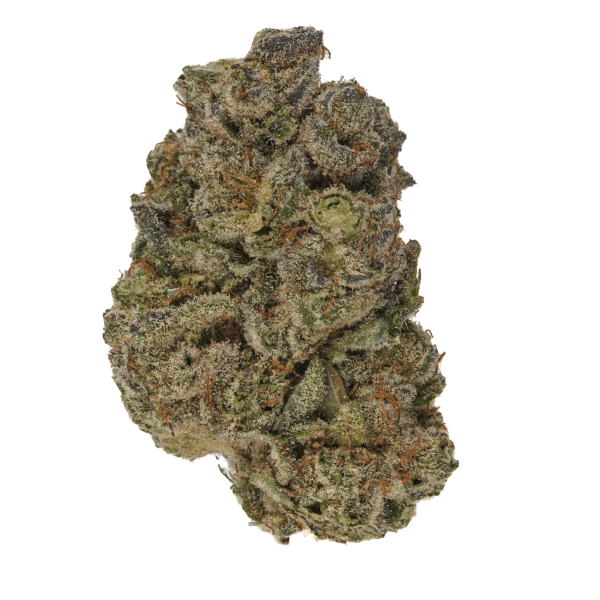 Philadelphia Cream cannabis cannabis | Cannibisters Cape Town
