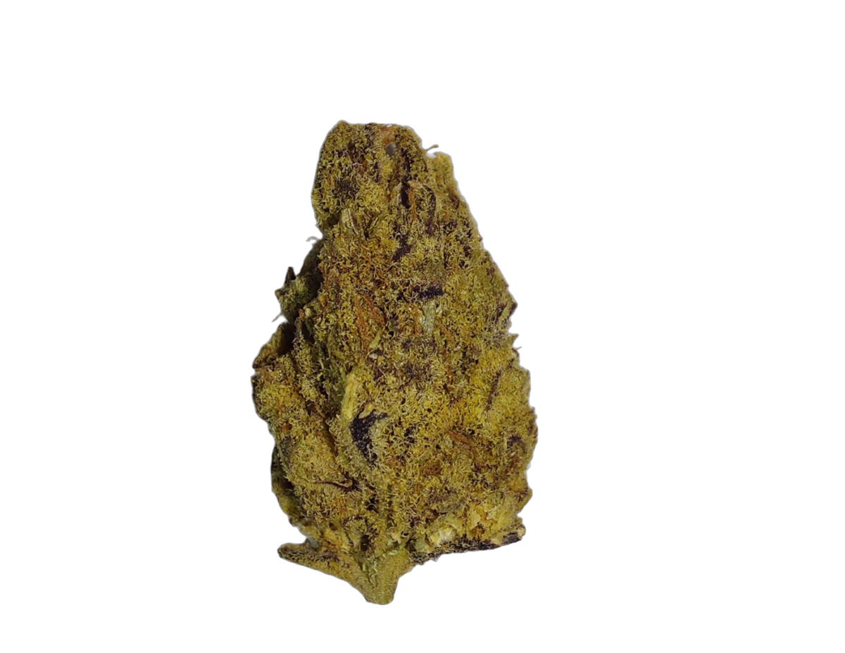 Platinum Purple Greenhouse cannabis flower bud
