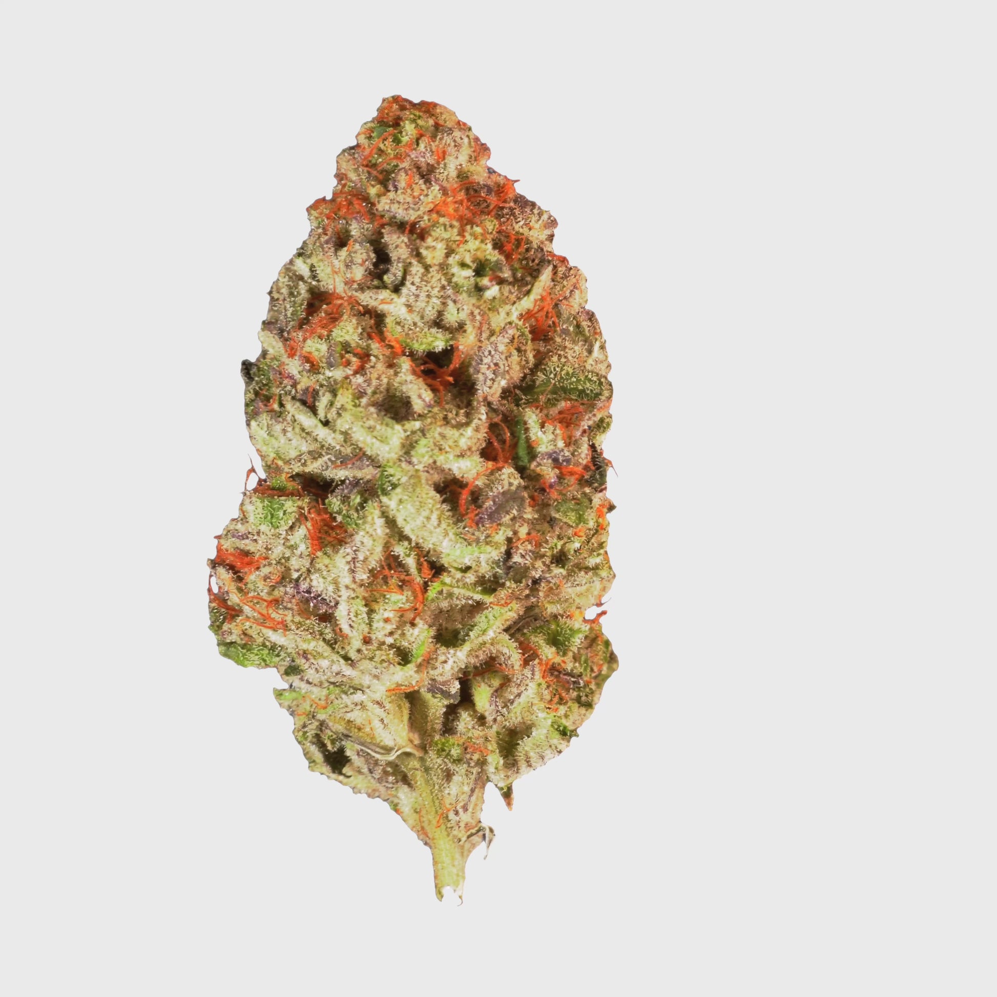 Astro Grape .mov