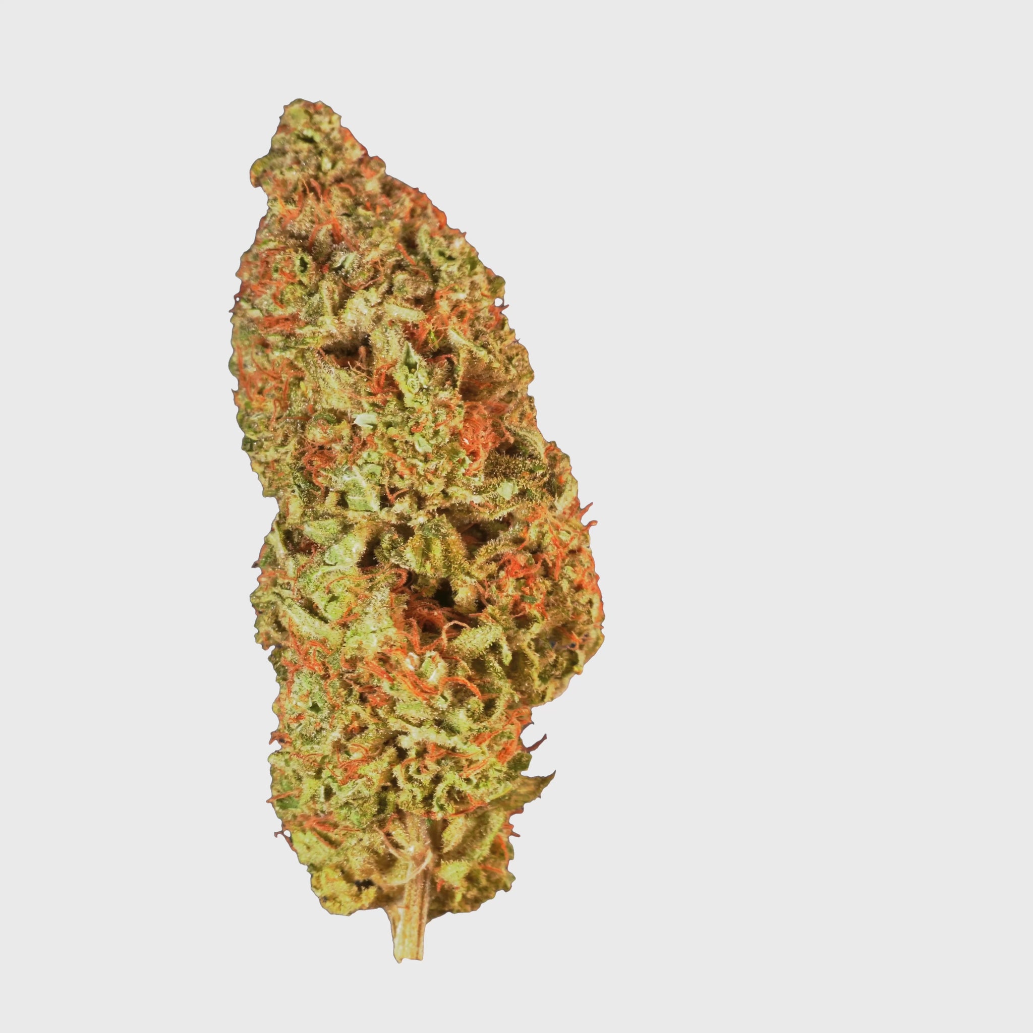 sour d m1 .mov
