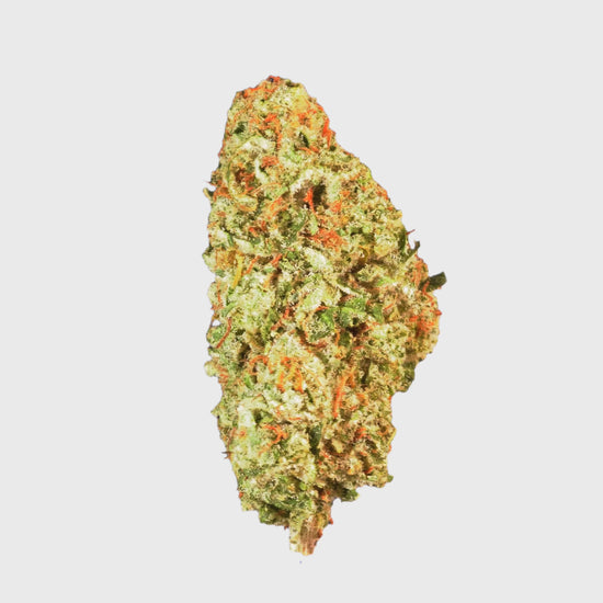 Canni Girl Scout Cookies.mov