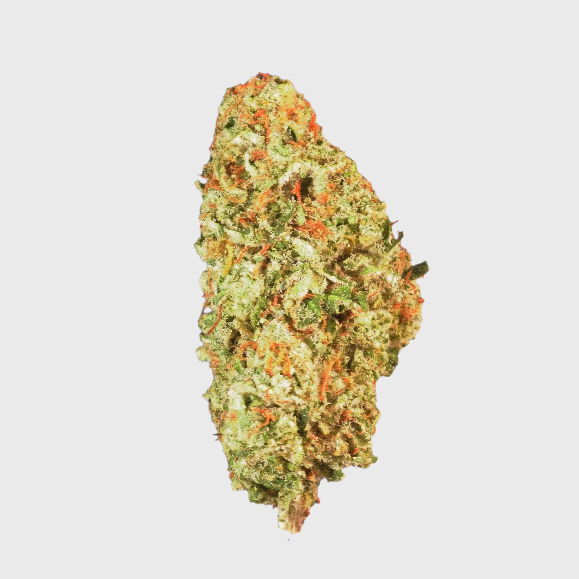 Canni Girl Scout Cookies.mov