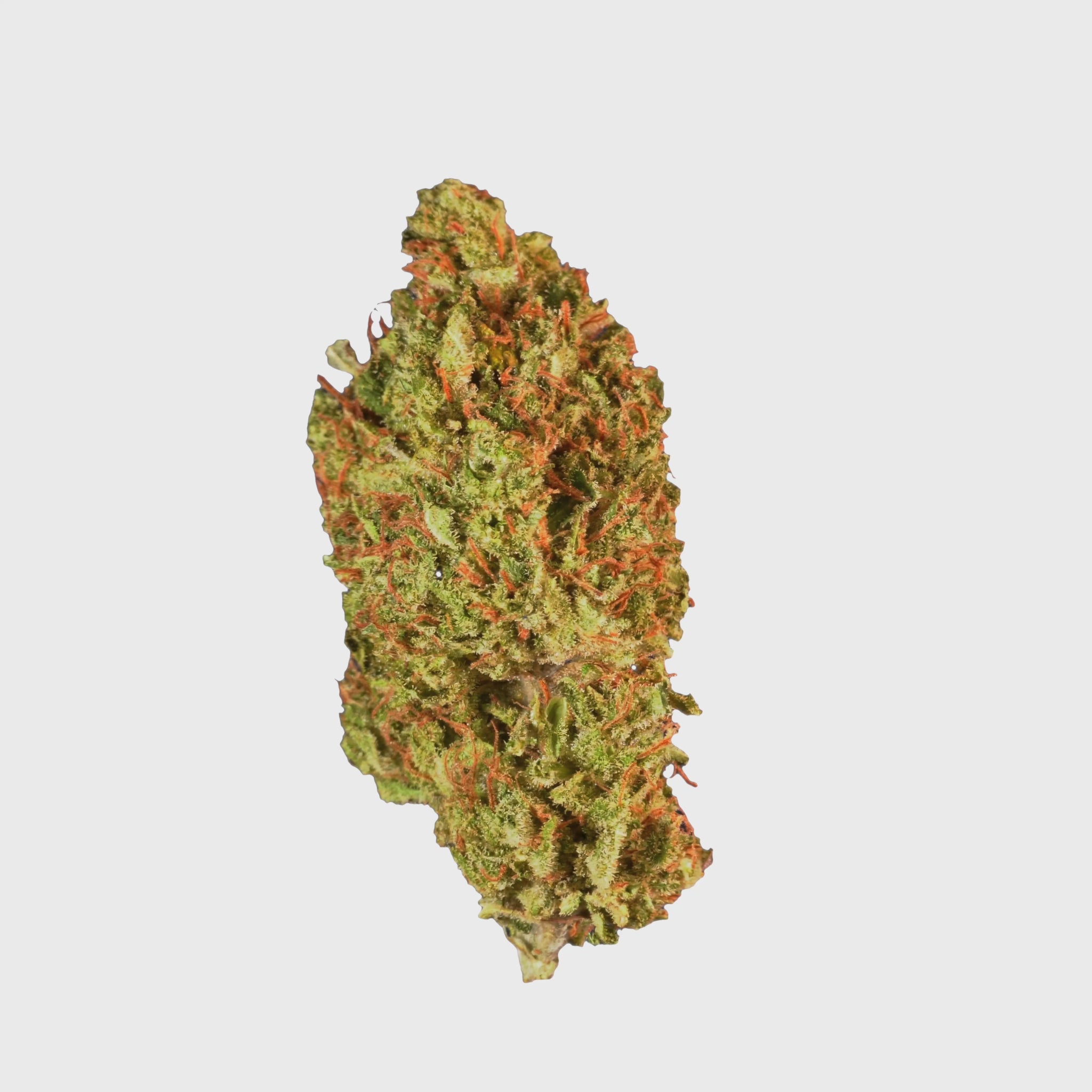 White Widow.mov