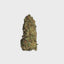 Greendoor Jack Blue Dream