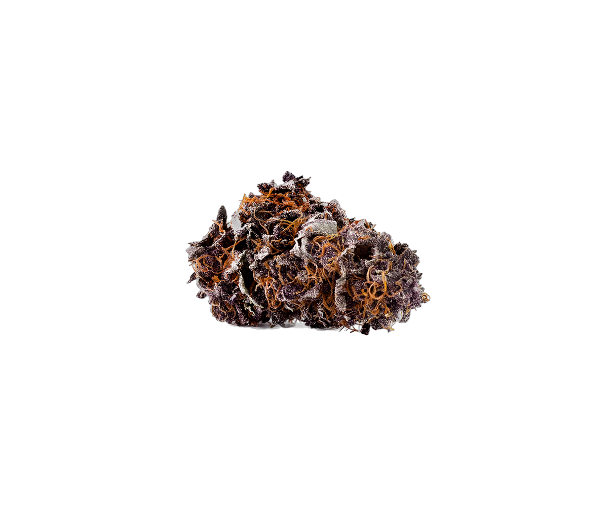 Purple Bud cannabis flower bud