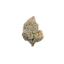 Purple Lemonade cannabis flower bud