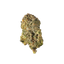 Purple Panda - Cannibisters Limited Collection cannabis flower bud