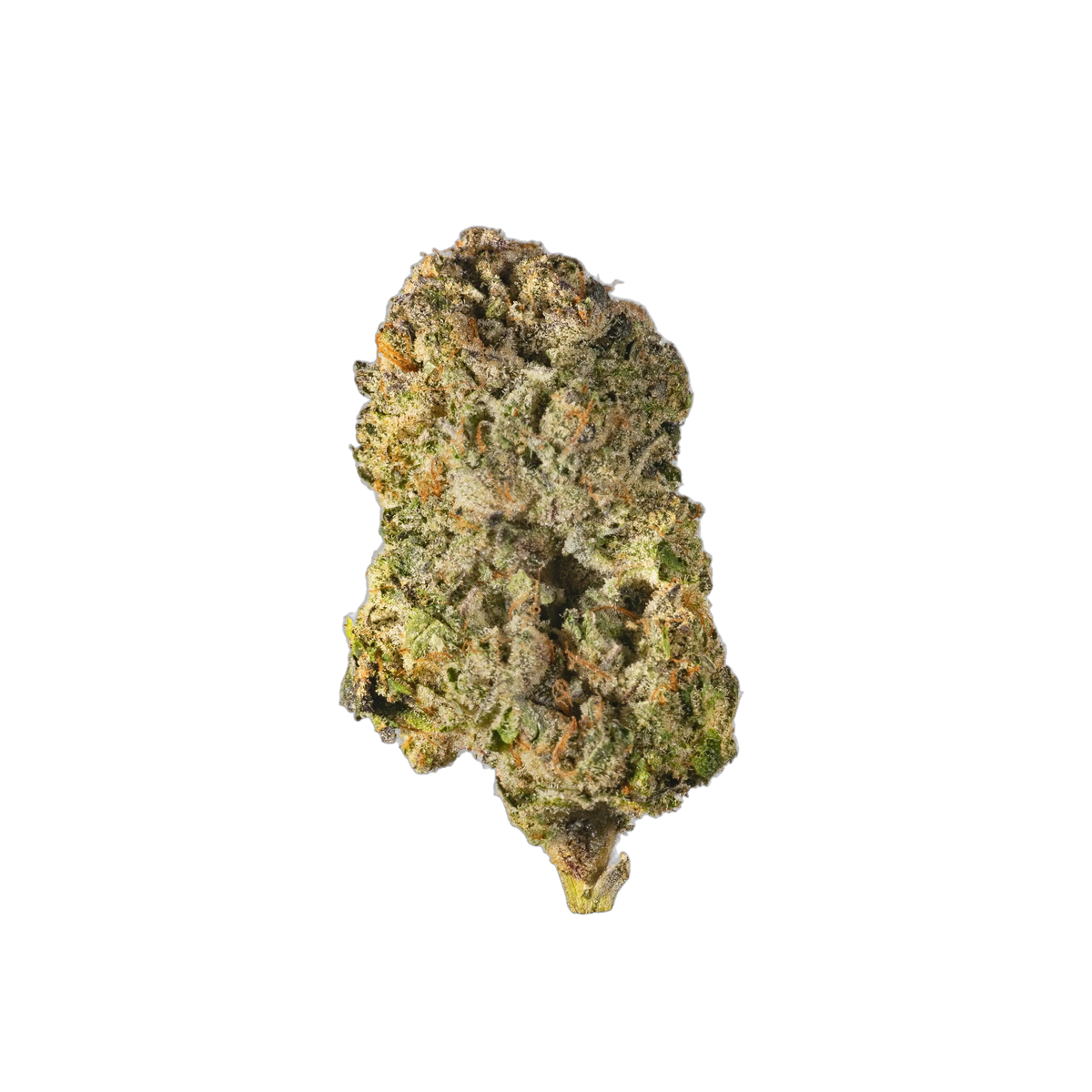 Purple Panda - Cannibisters Limited Collection cannabis flower bud