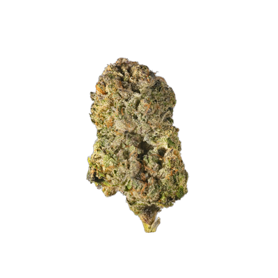 Purple Panda - Cannibisters Limited Collection cannabis flower bud