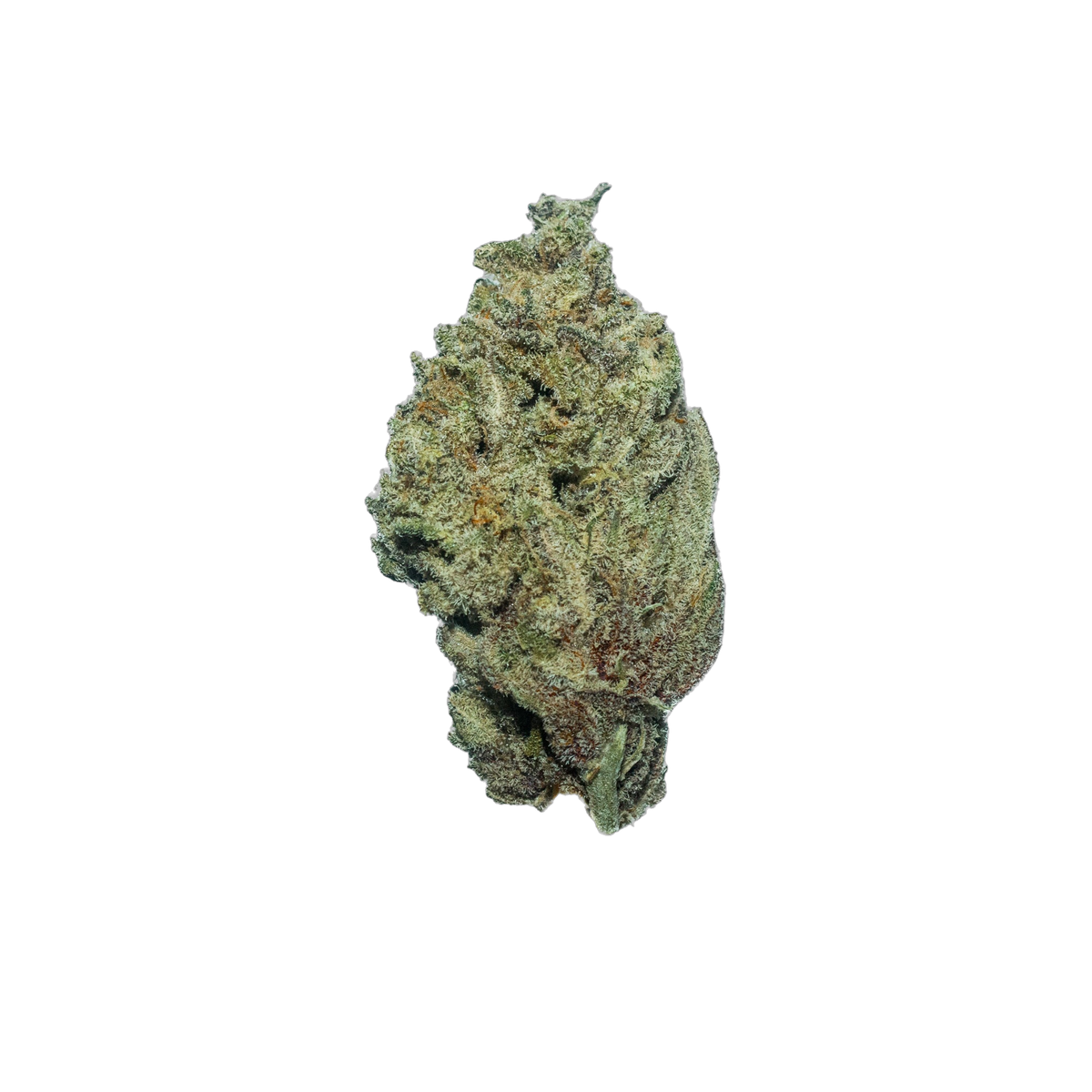 Purple Punch cannabis flower bud