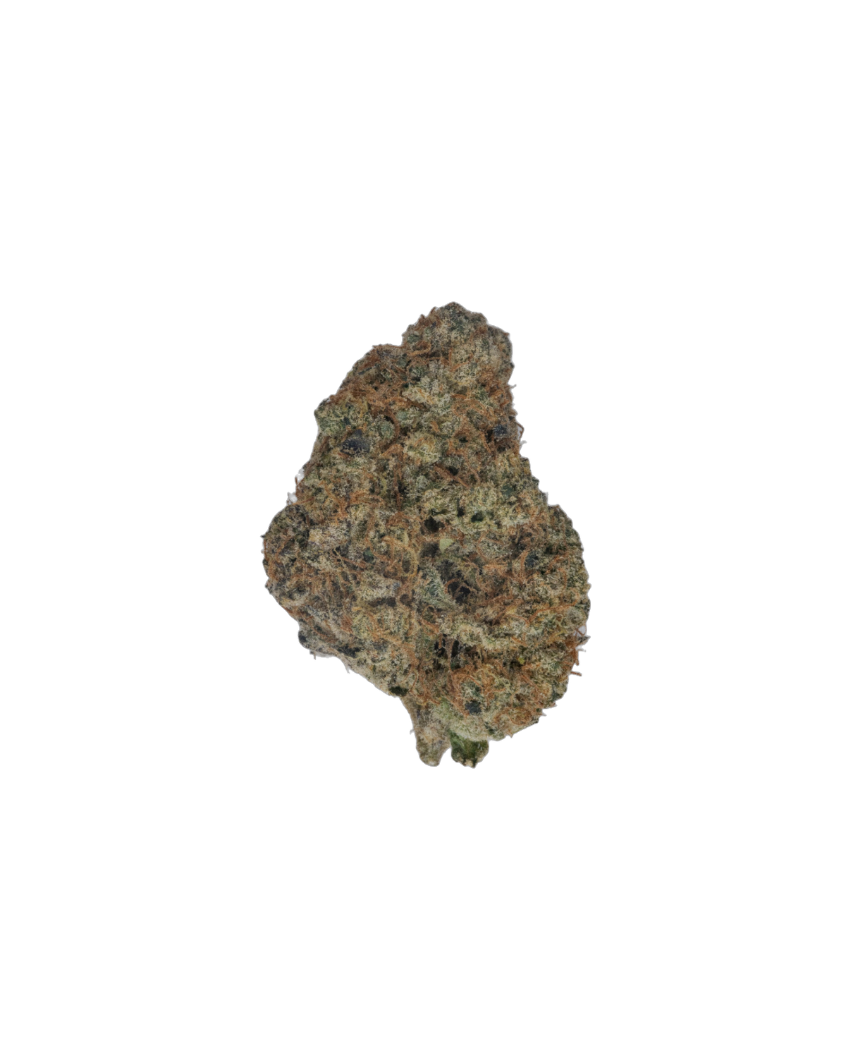 Queen Sugar cannabis flower bud