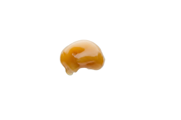 Indoor Flower Rosin - Elvis sativa cannabis strain — buy online Cape Town | Cannibisters