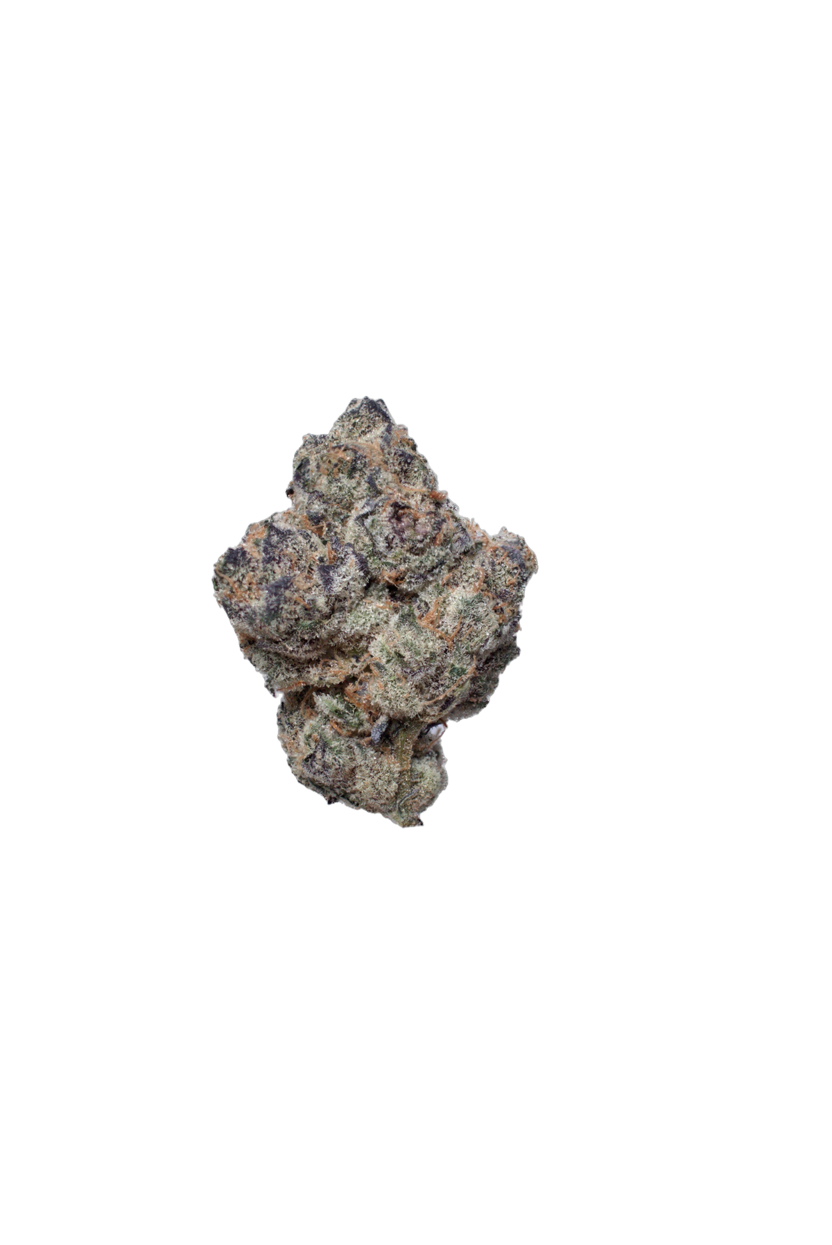Runtz Muffin (Organic Living Soil) cannabis flower bud