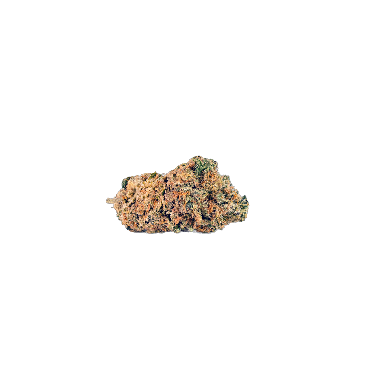 Sangria Slushy cannabis flower bud