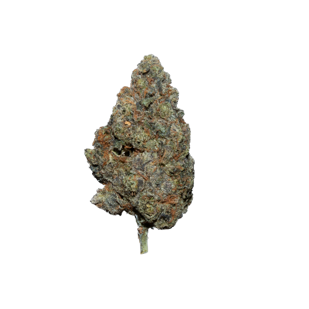 Sex Panther cannabis flower bud