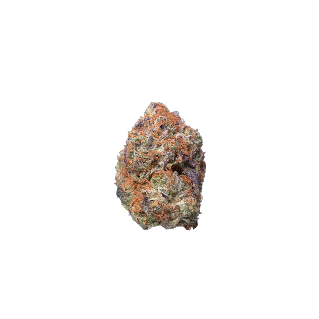 Shogun cannabis flower bud
